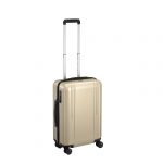 zero_halliburton_zrl_22_inch_domestic_lightweight_luggage_ZTL22-PG.jpg